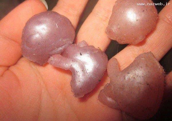 عکس های وحشتناک از بیگانگان مرده در جهان!! 16+