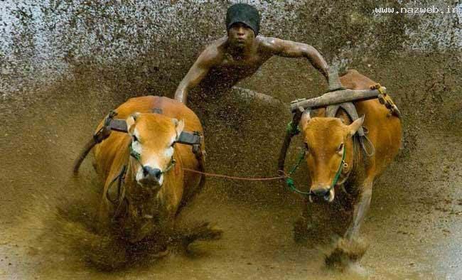 عکس های دیدنی و خفن روز پنج شنبه 12 بهمن 1391