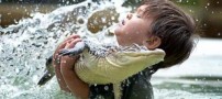 گزارش تصویری و باورنکردنی از مسئولیت پسر 3 ساله!