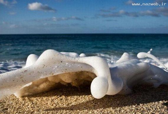 عکس های بسیار جالب و دیدنی روز (4)