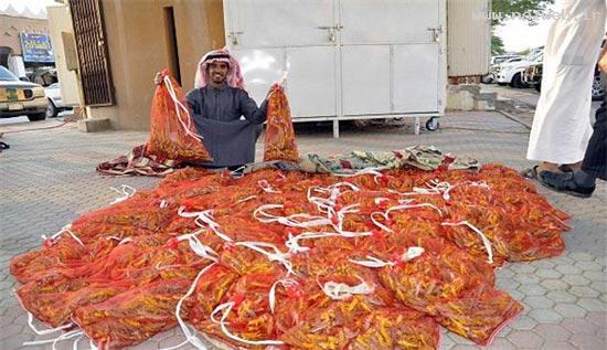 غذای لوکس و لذیذ سعودی ها (تصویر) غذای لوکس و لذیذ سعودی ها (تصویر)