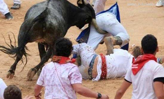 دیدن این تصاویر بسیار خنده دار را از دست ندهید