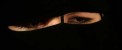 تصویر دختری که 20 سال اسیر اسرائیل بود!!