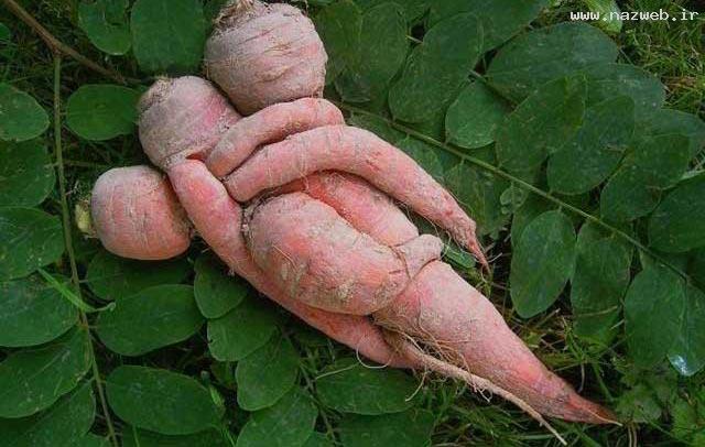 عکسهای بسیار دیدنی و جالب سه شنبه 10 بهمن 91