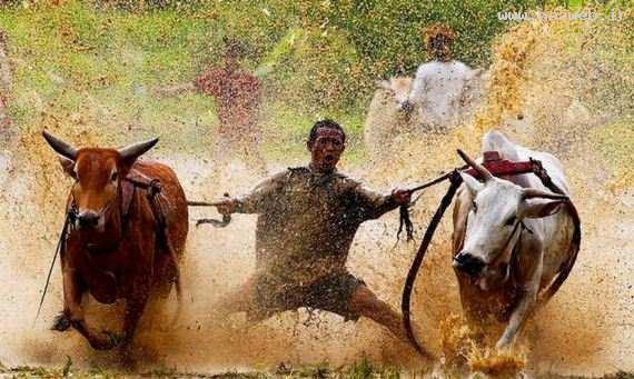 عکس های بسیار جالب و دیدنی روز (4)