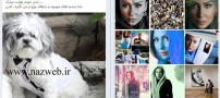 جنجال جشن تولد سگ خانم بازیگرسینما (عکس)