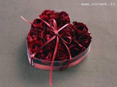 عکس های زیبا از کارت پستال های عاشقانه