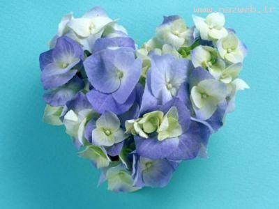 عکس های زیبا از کارت پستال های عاشقانه