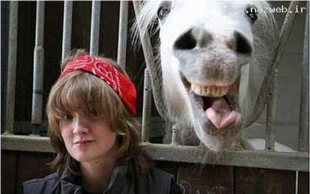 عکس های دیدنی و بسیار جالب از همه جا