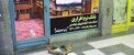 عکس غم انگیز از یک کودک مشغول به کار