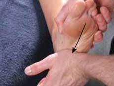 آموزش ماساژ جنسی بدن و سایر اندام ها (18+)