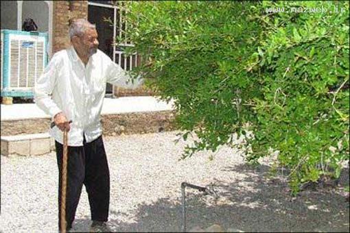 2 عکس دیدنی از پیرترین بدربزرگ ایرانی