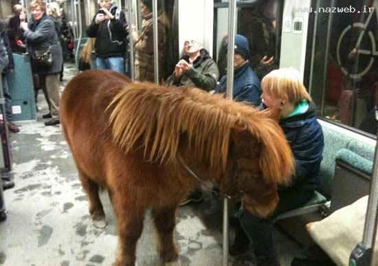 حرکت خنده دار و عجیب دختر جوان در مترو/ عکس