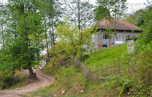 عکس های دیدنی از طبیعت زیبای حویق در گیلان