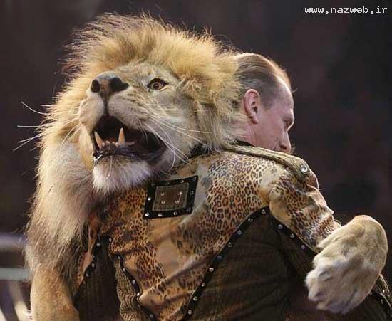 عکس های دیدنی و باورنکردنی رقص مرگ با شیر!!