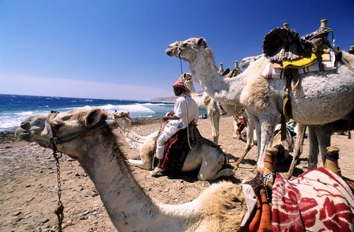 عکس های دیدنی و زیبا از سرزمین مصر
