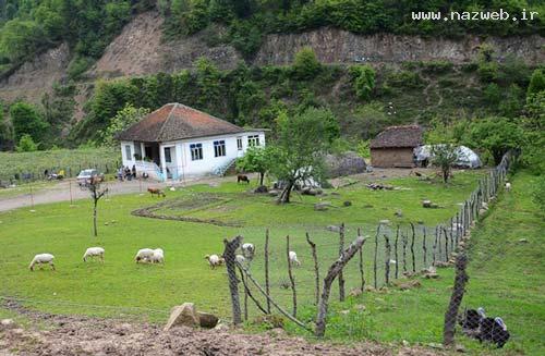 عکس های دیدنی از طبیعت زیبای حویق در گیلان