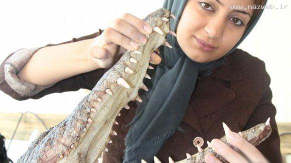 انتخاب اولین دختر ایرانی در پرورش کروکودیل! عکس