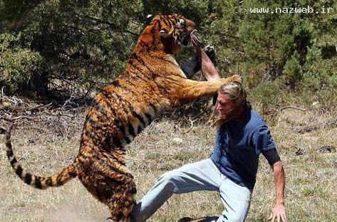 عکس های باورنکردنی، اگر بیماری قلبی دارید نگاه نکنید