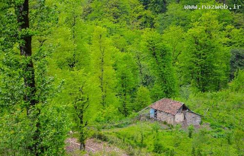 عکس های دیدنی از طبیعت زیبای حویق در گیلان