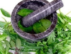 گیاهانی که برای رفع اضطراب مفید هستند