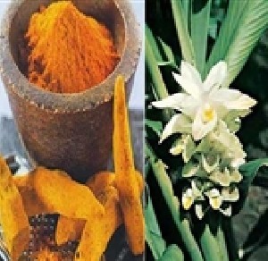 خواص زردچوبه