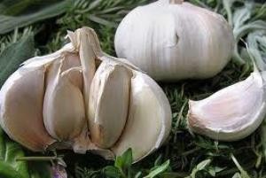 خواص درمانی و غذایی سیر
