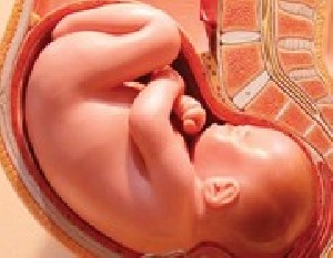 دانستنی های جالب حرکات جنین