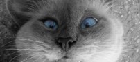 شوخی، جدی های جالب و خنده دار!!