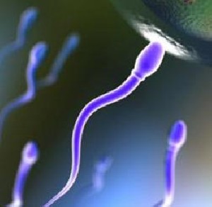 اسپرم تا چند روز زنده است