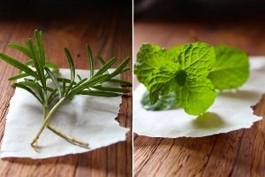 2 عصاره گیاهی برای تقویت حافظه