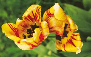 با حال ترین عکس های دیدنی روز