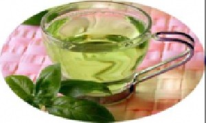 برای لاغر شدن چگونه چای سبز را دم کنیم