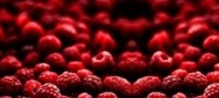 با این غذاها به جنگ بیماری ها بروید