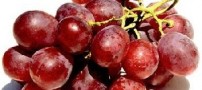 چه میوه هایی میگرن را تحریک می کنند