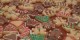 طرز تهیه شیرینی آدمکی مخصوص کریسمس (عکس)