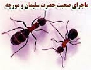 ماجرای جالب صحبت کردن سلیمان با مورچه ها