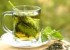 معرفی گیاهی برای رفع خستگی و کم‌خونی