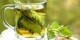 معرفی گیاهی برای رفع خستگی و کم‌خونی