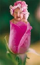 چه کسانی می توانند از رحم اجاره ای استفاده کنند