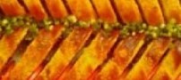 طرز تهیه رولت گوشت خمیری