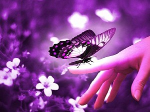 احادیثی درباره ی مدارا کردن با مردم
