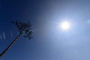 سال آینده،‌ گرم‌ترین سال تاریخ به دلیل ال‌نینو