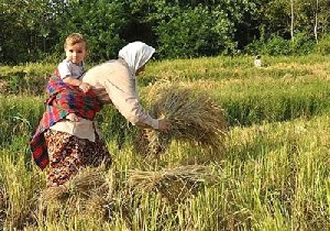 شغل هایی که بیماری تنفسی و مفصلی دارند