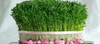 اس ام اس های تبریک عید نوروز
