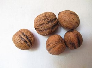 آموزش بازی جالب گردو بازی (پسرانه)