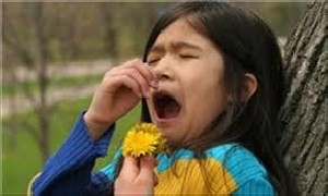 گیاهان دارویی برای درمان حساسیت فصلی