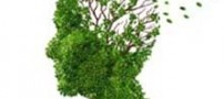 علت کاهش حافظه و ازدیاد فراموشی
