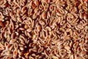 خواص بی نظیر اسپرزه از کولون تا رکتوم