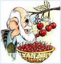 ضرب المثل های منتخب جهانی